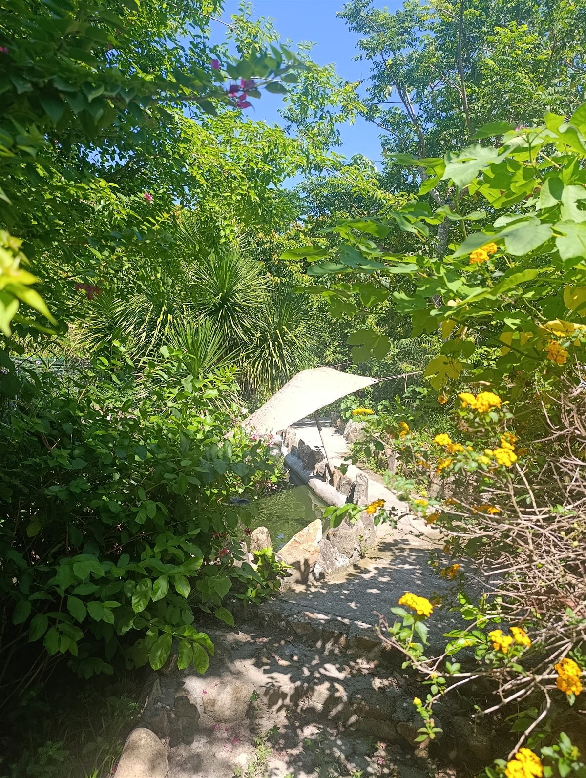 Водоём в саду